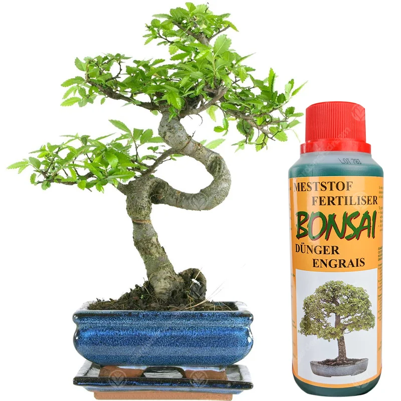 247plants2944734
