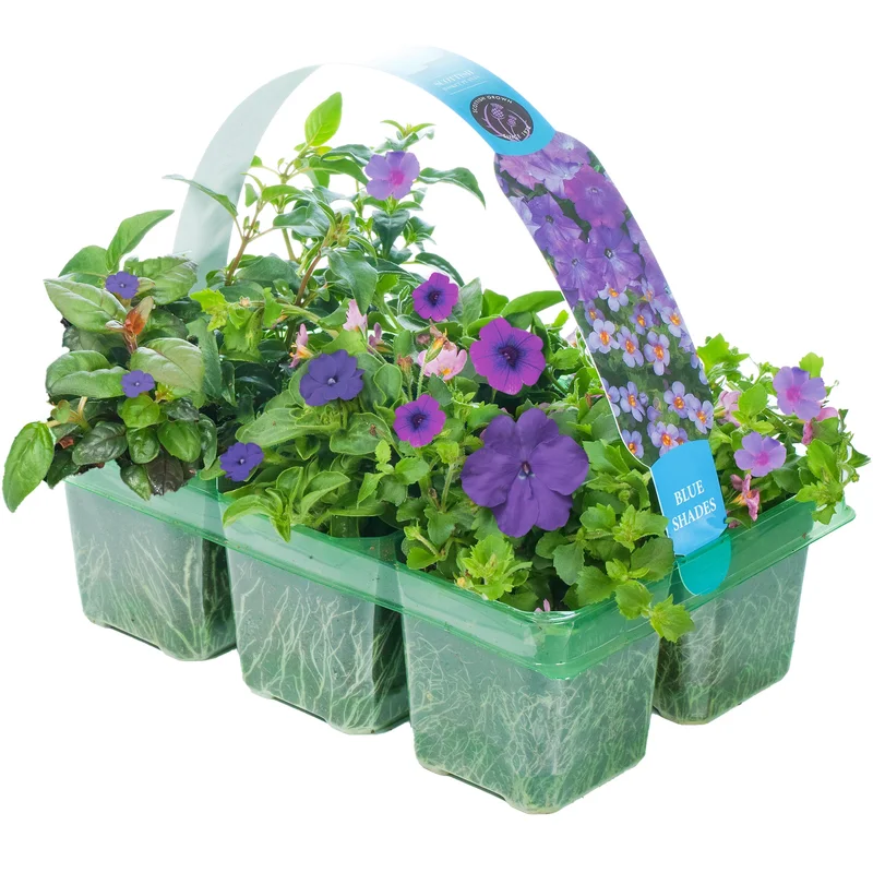 247plants2950351