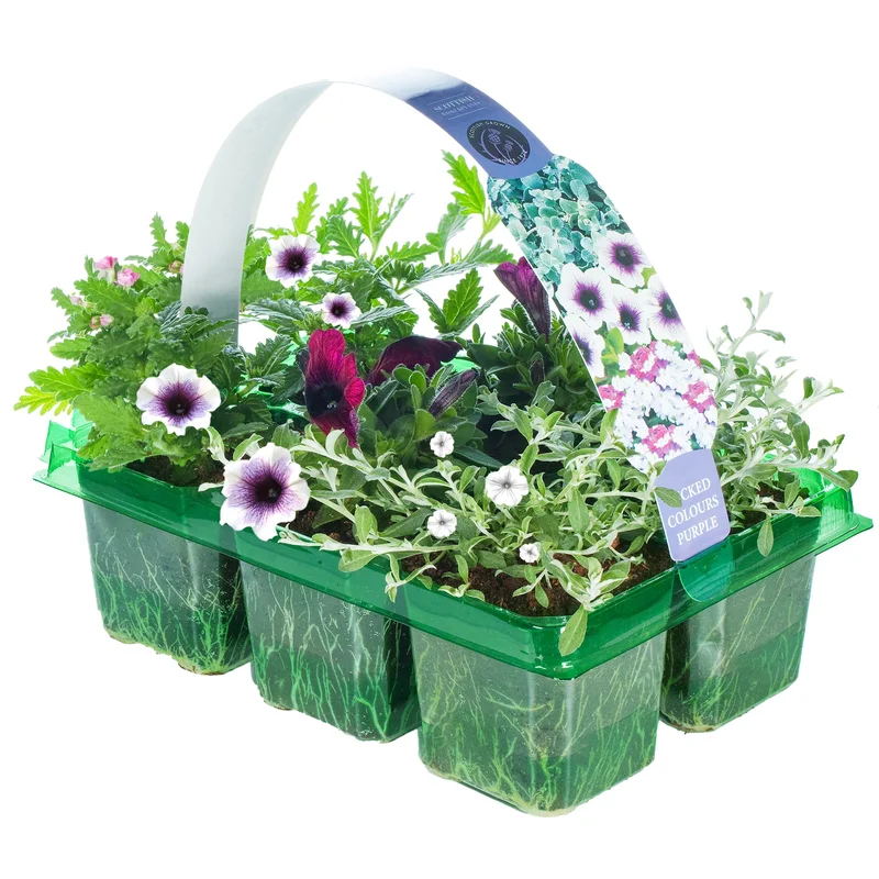 247plants2951159