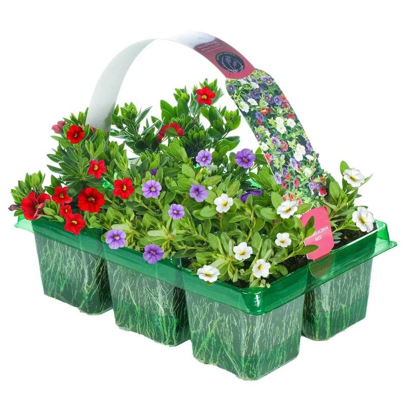 247plants2953315