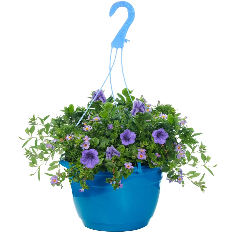 247plants2953954