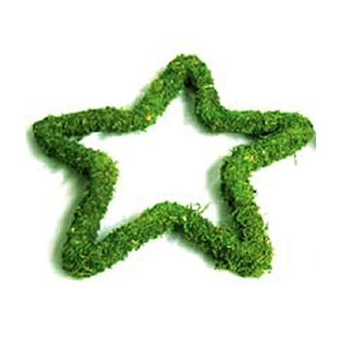 247plants2986026