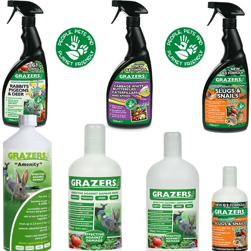 247plants2996707