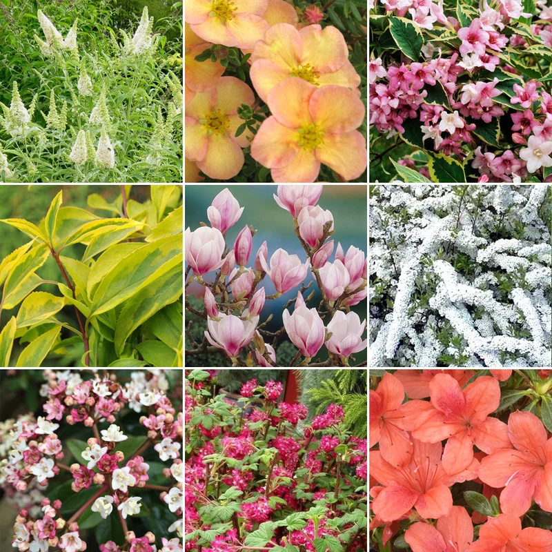 247plants3011053