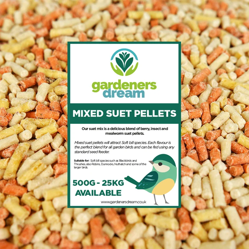 247plants3018174