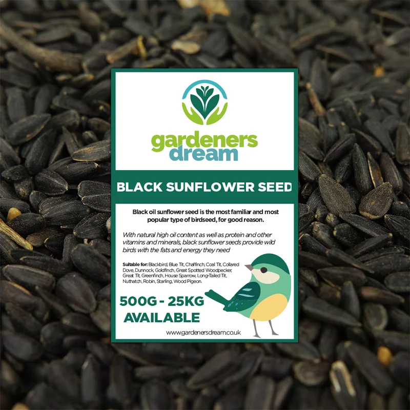 247plants3018478