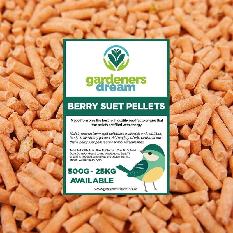 247plants3018755