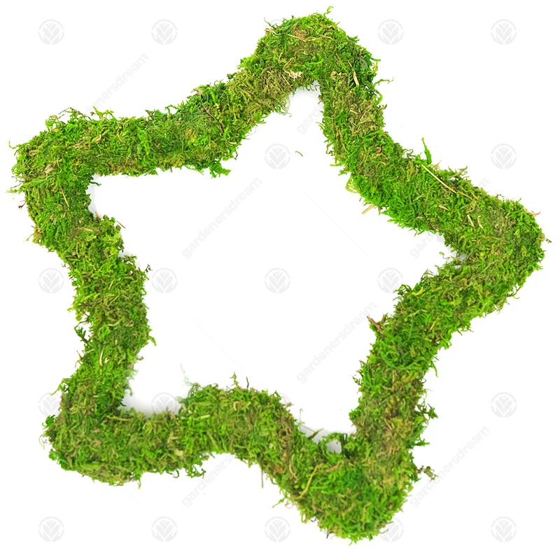 247plants3019848