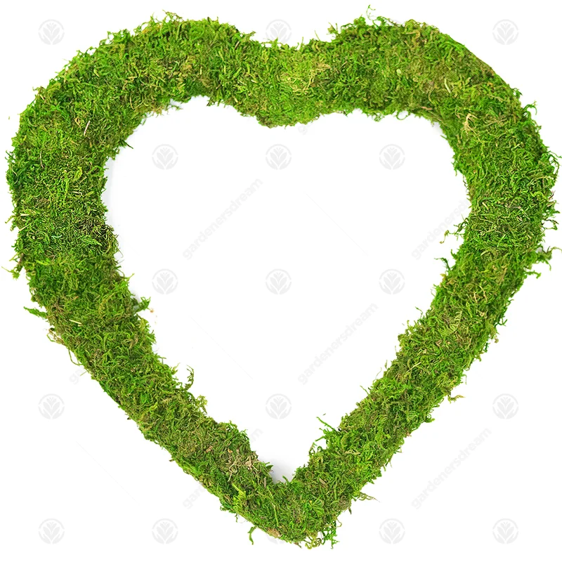247plants3019924