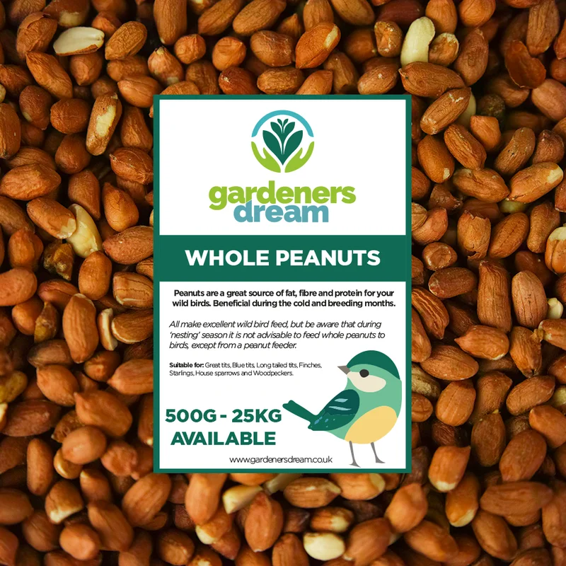 247plants3021879