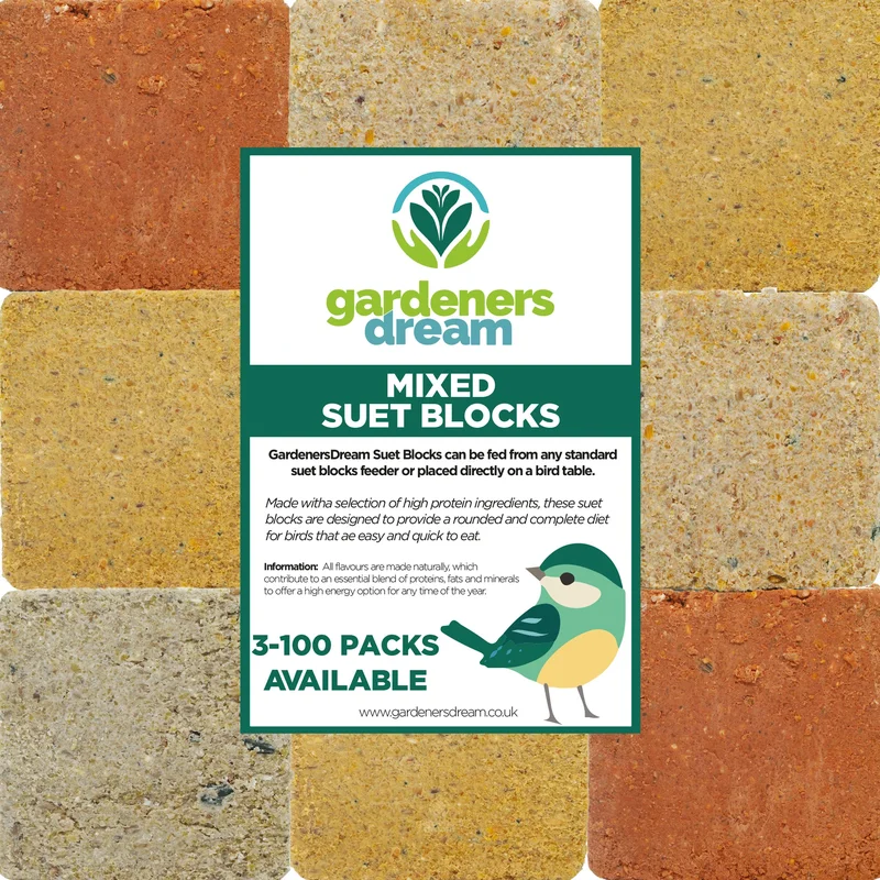 247plants3022267