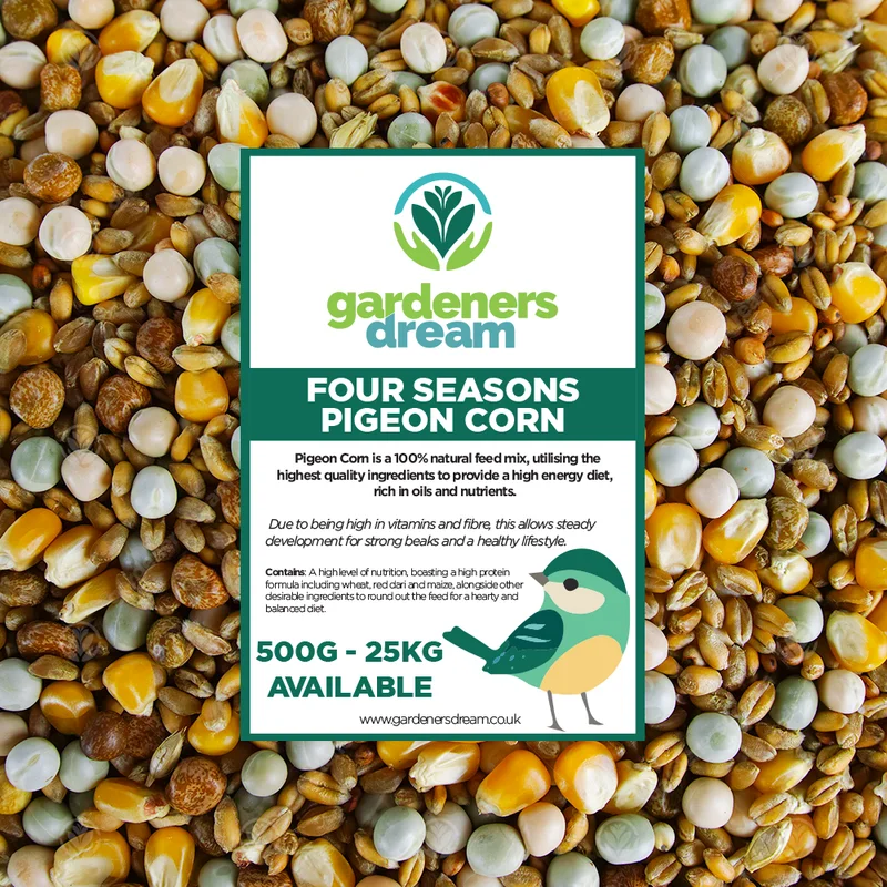 247plants3025435