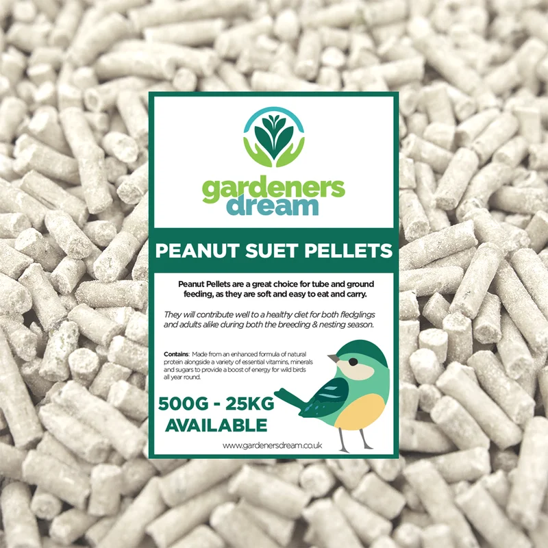 247plants3032919