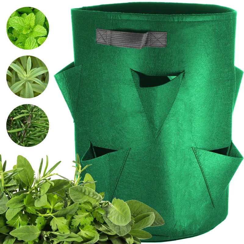 247plants3038571