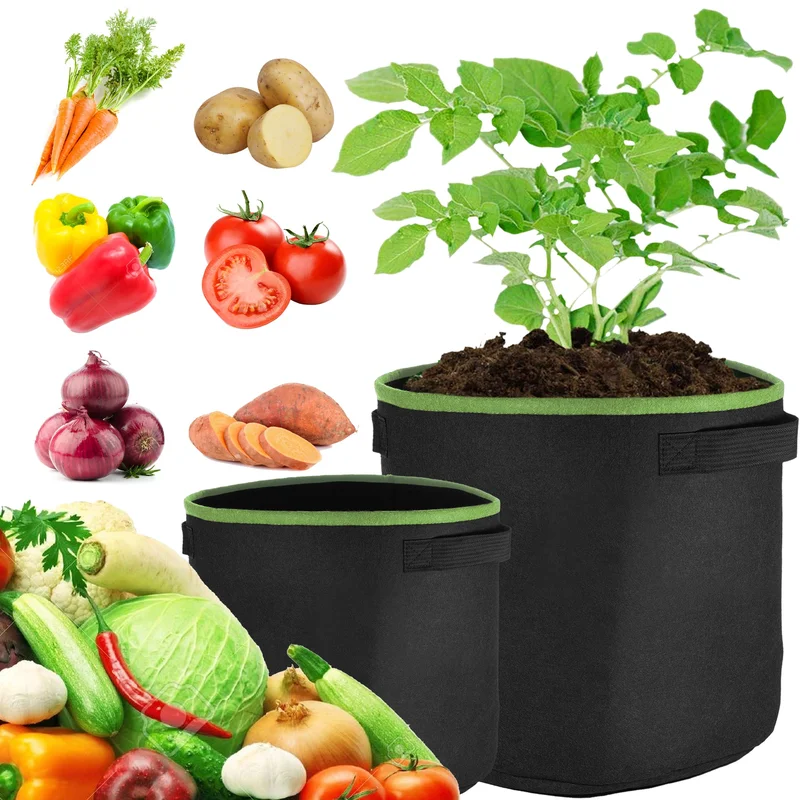 247plants3038642
