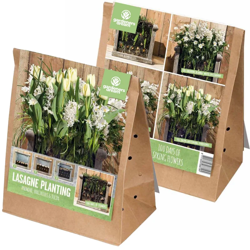 247plants3039537
