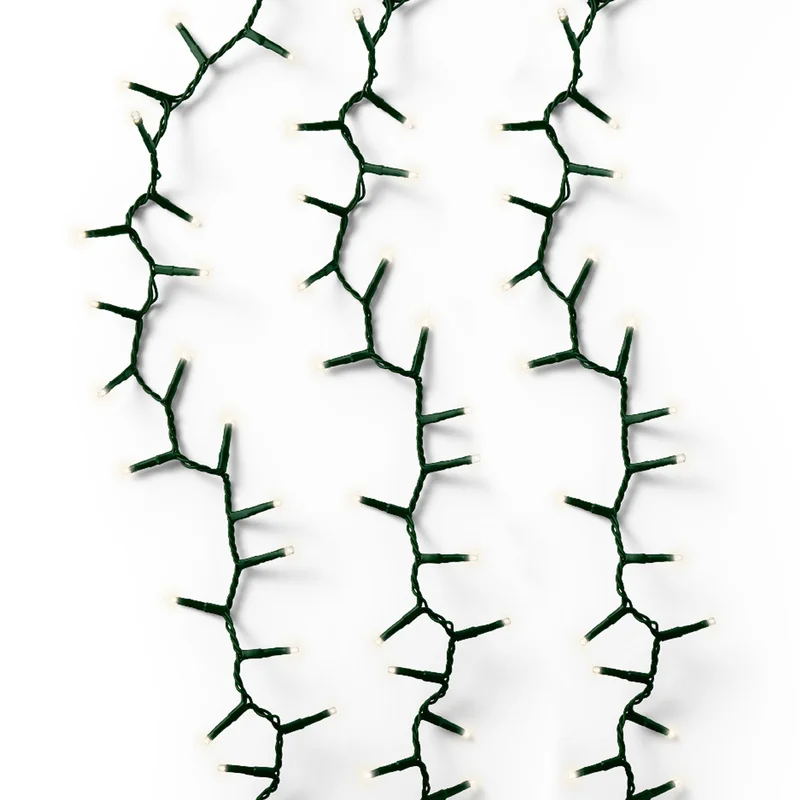 247plants3040331
