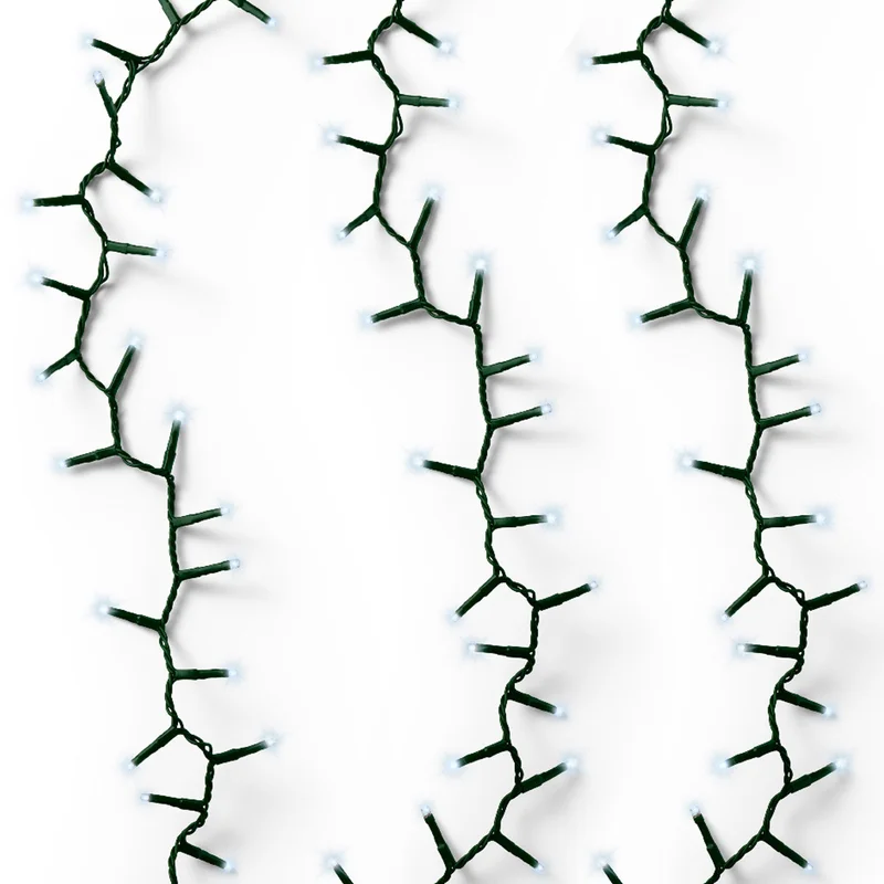 247plants3040357