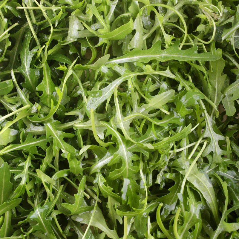 247plants3824325
