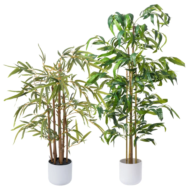247plants3832542