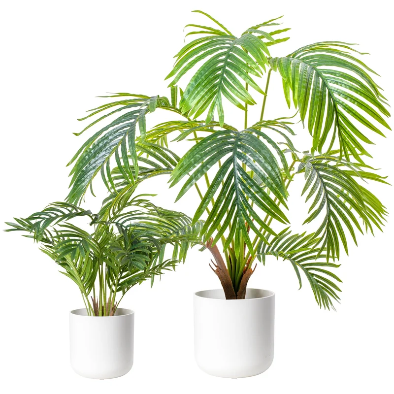 247plants3832606
