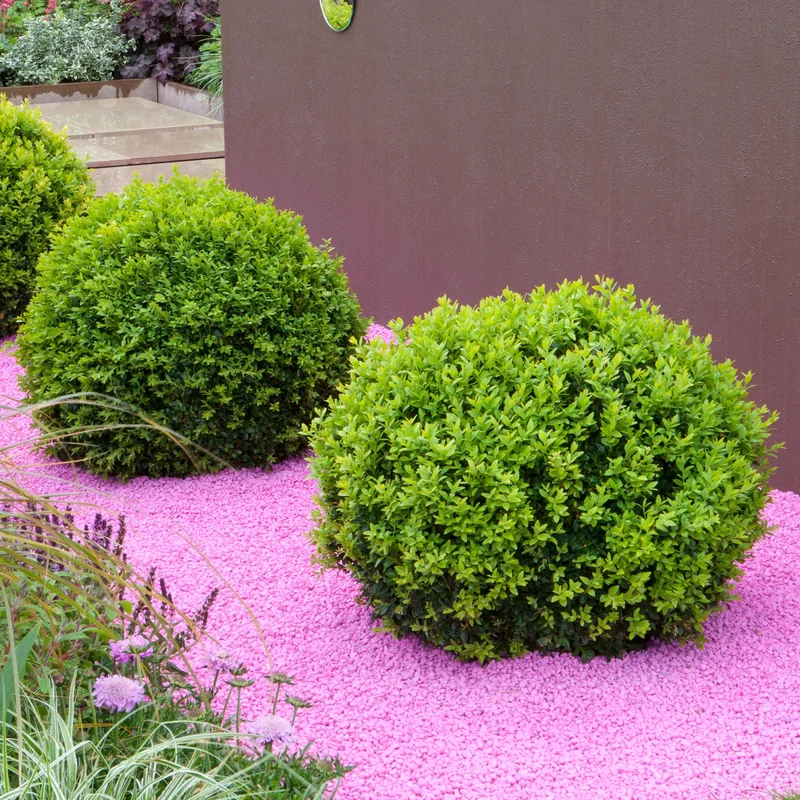 247plants3917086