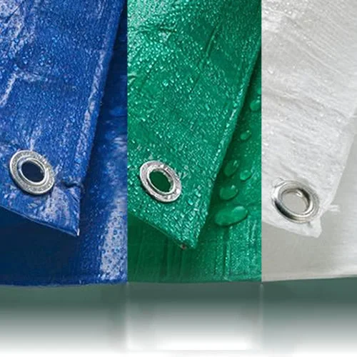 247plants3946679