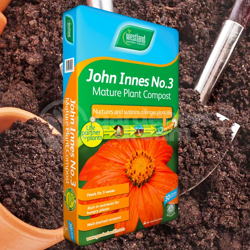 247plants3964287