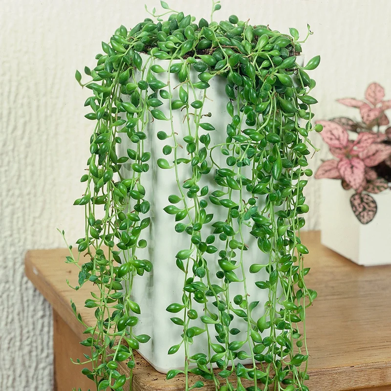 247plants4018348