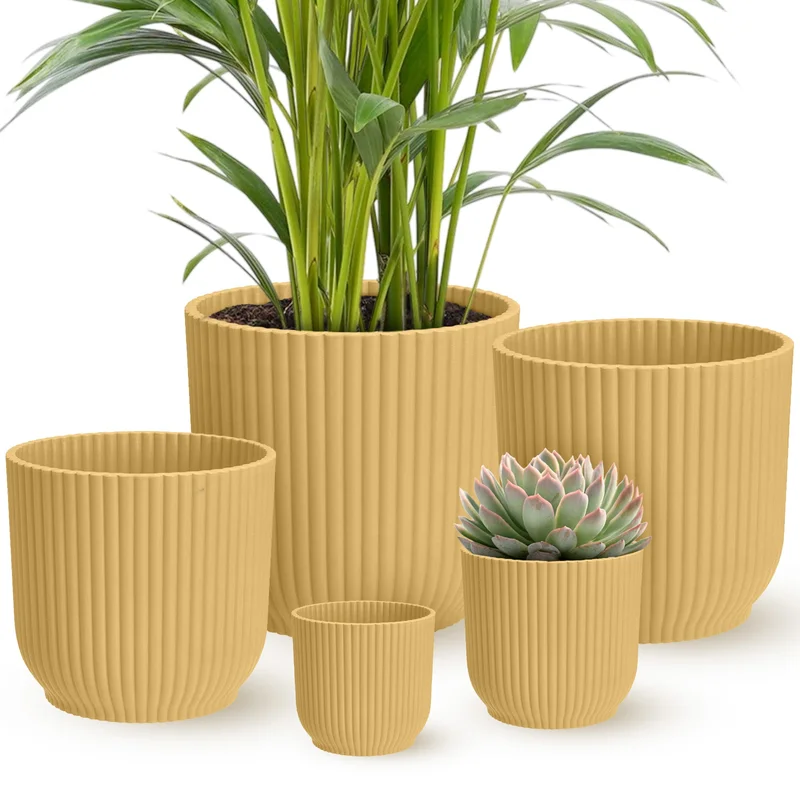 247plants4052920