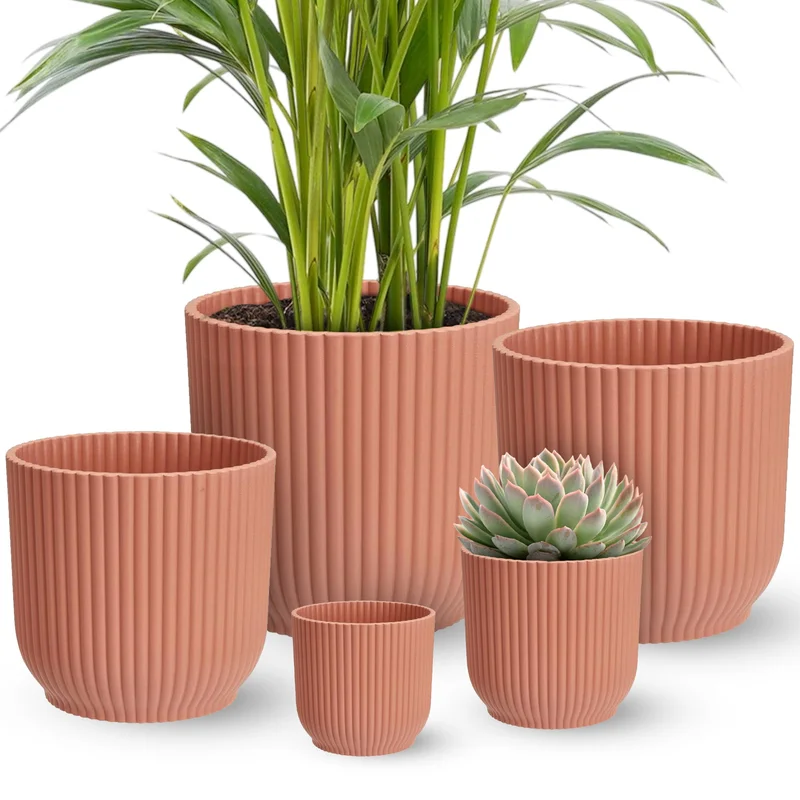 247plants4052960