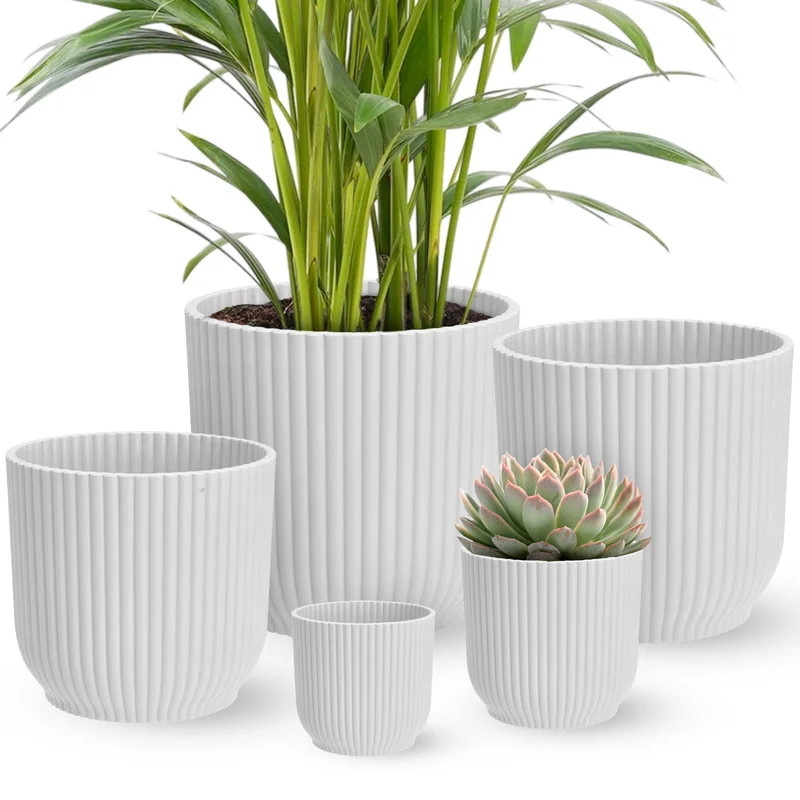 247plants4052993