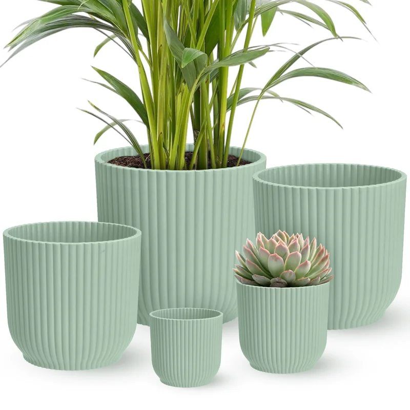 247plants4053027