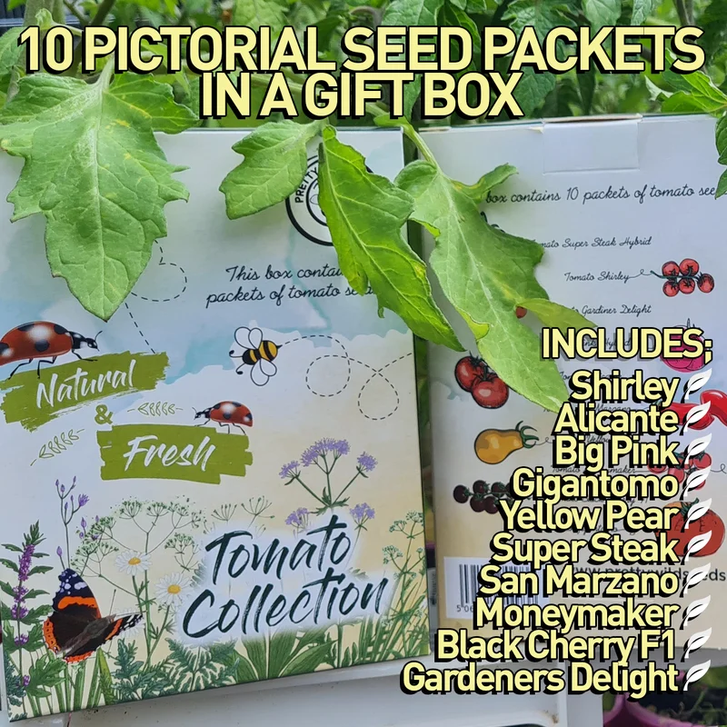 budgetseeds2932883