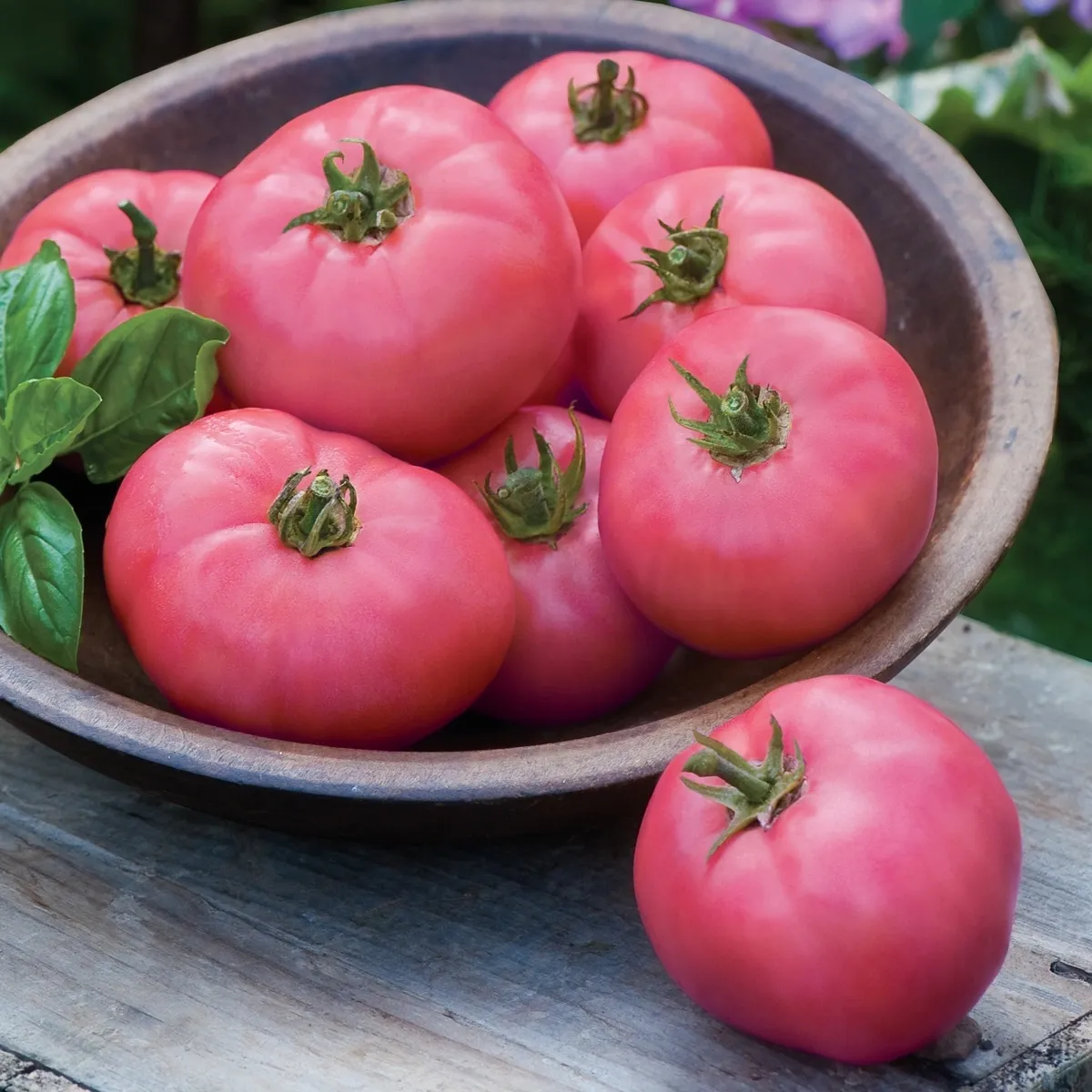budgetseeds2933212