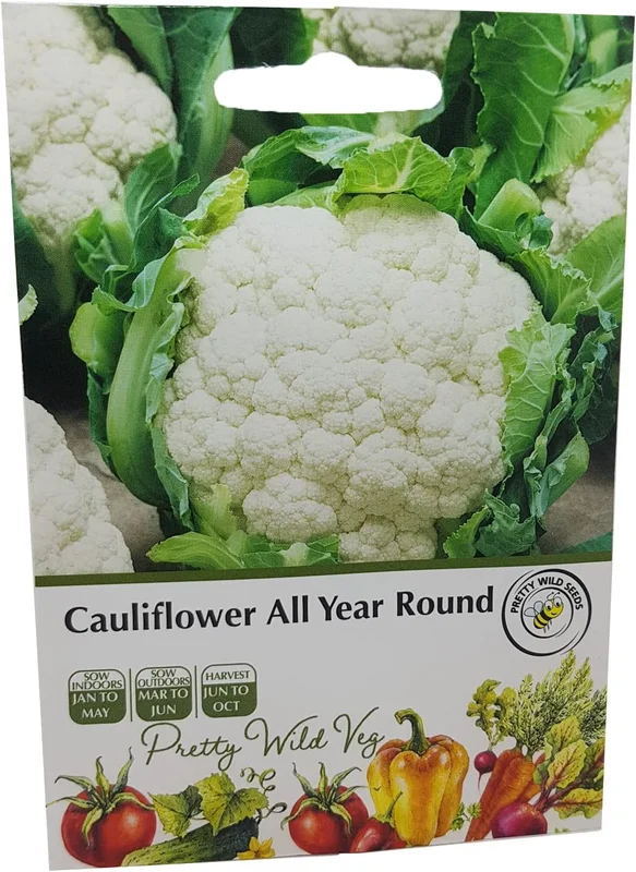 budgetseeds2933535