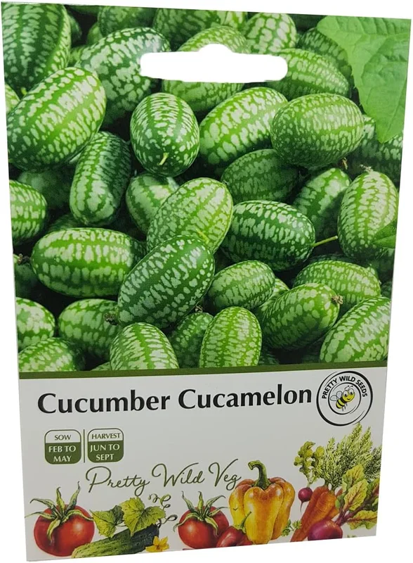 budgetseeds2933663