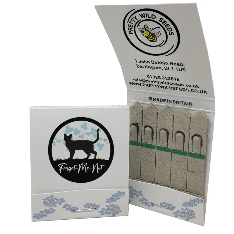 budgetseeds2933847