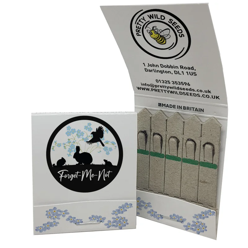 budgetseeds2933963