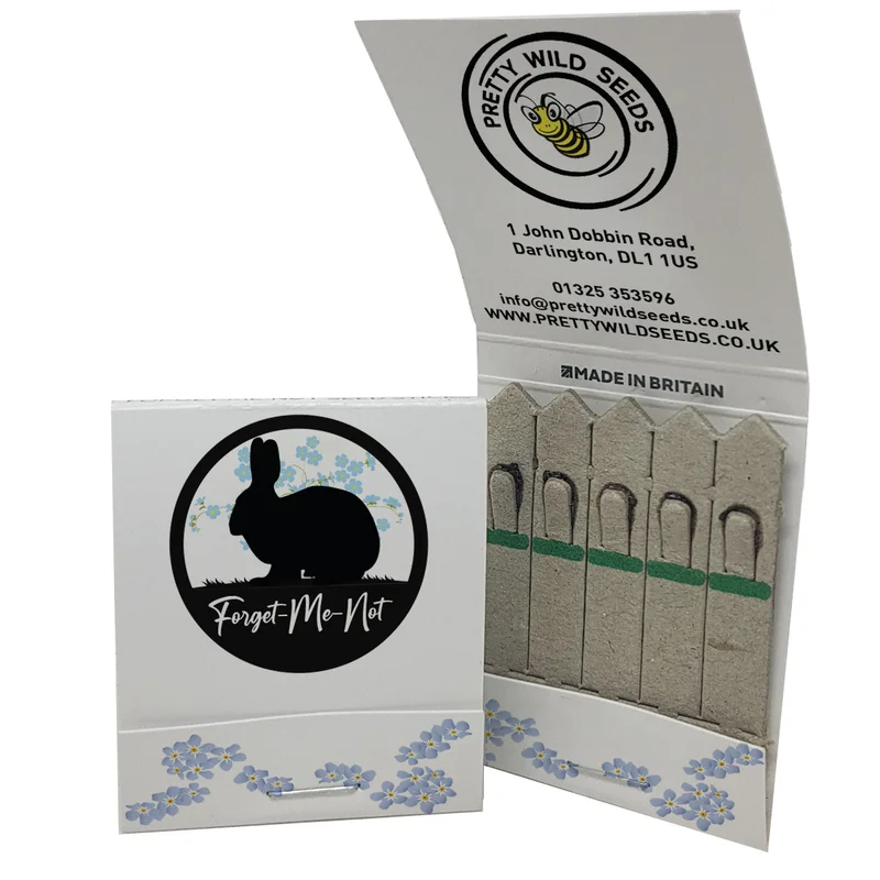 budgetseeds2933987