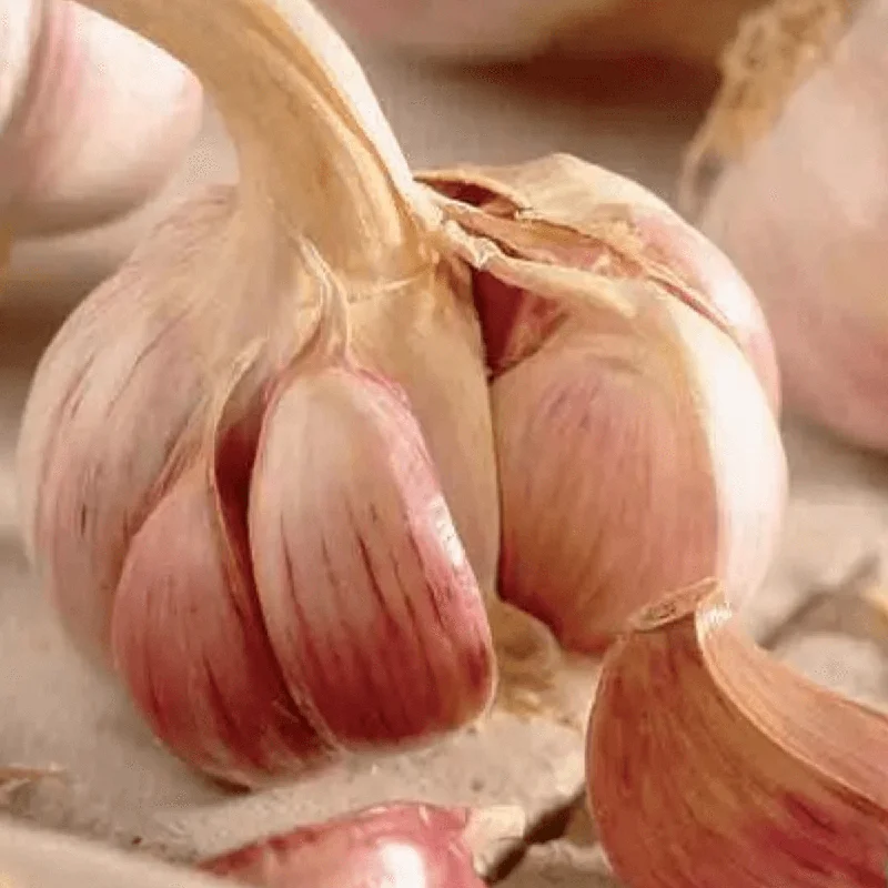 budgetseeds2934347