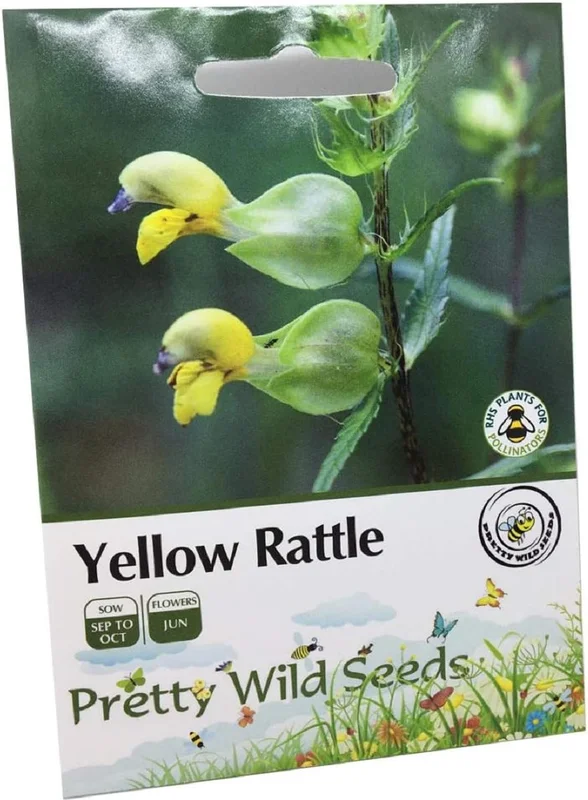 budgetseeds2934369