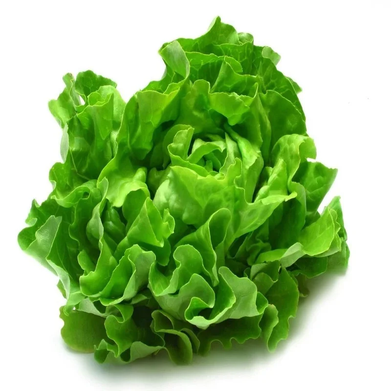 budgetseeds2934934