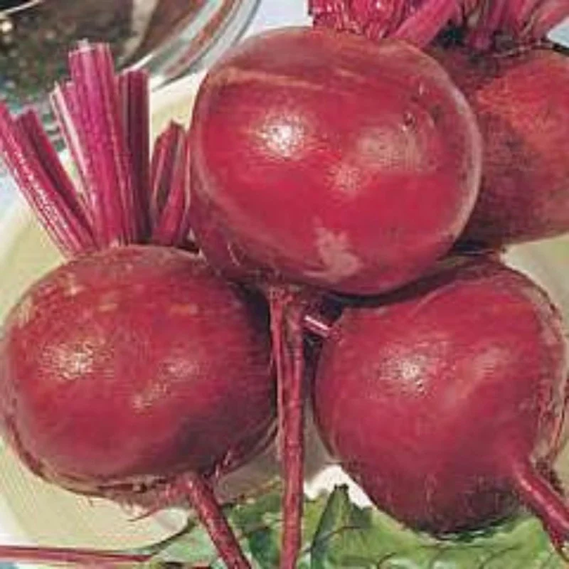 budgetseeds2935012