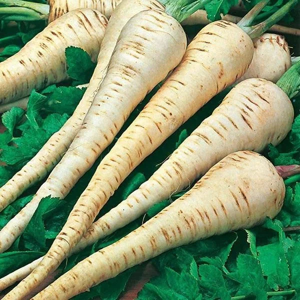 budgetseeds2935063