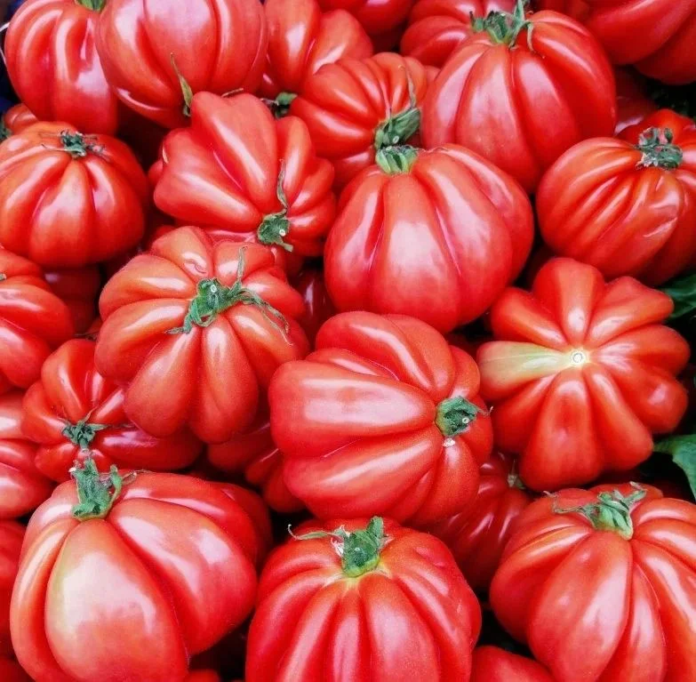 budgetseeds2935608