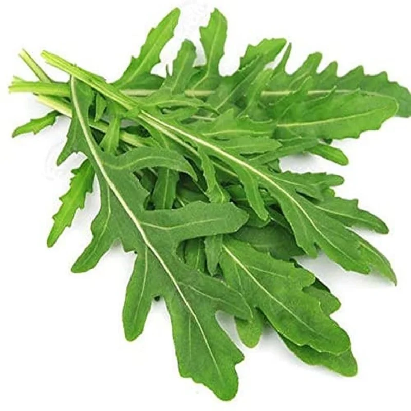budgetseeds2936090
