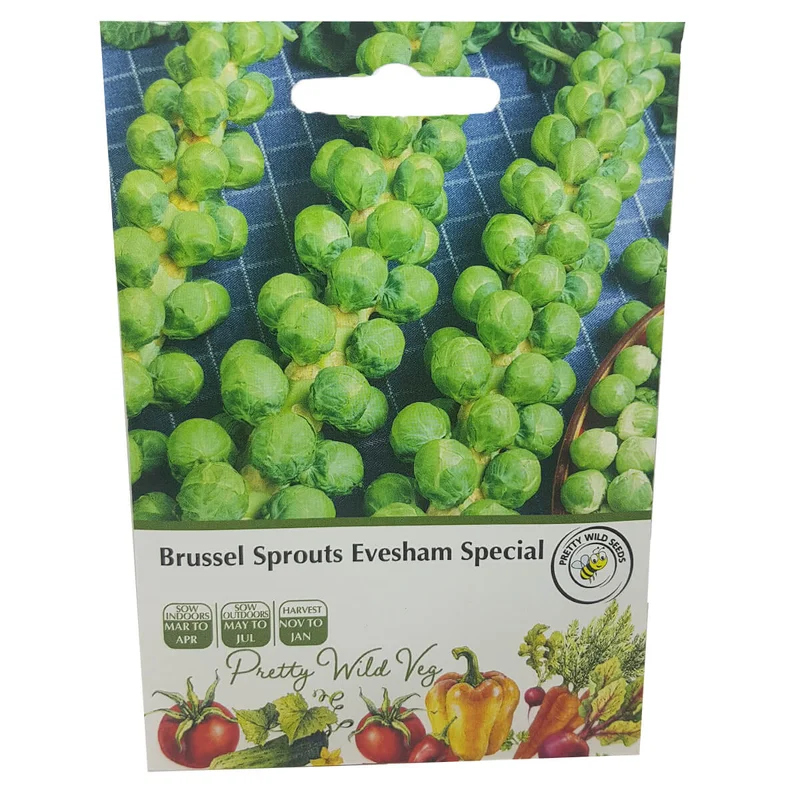 budgetseeds2936466