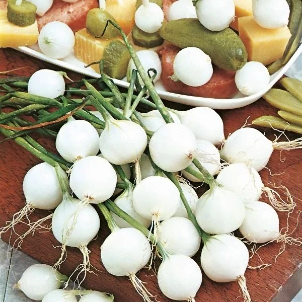 budgetseeds2936531