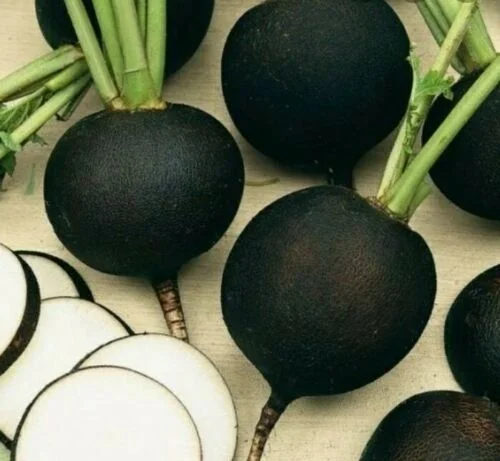 budgetseeds2936582